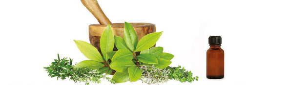 Plateforme Nationale de Production de Médicaments et de Suppléments Alimentaires