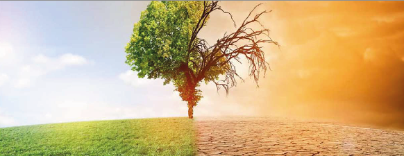 Programme de Renforcement du Système de Santé face au changement Climatique